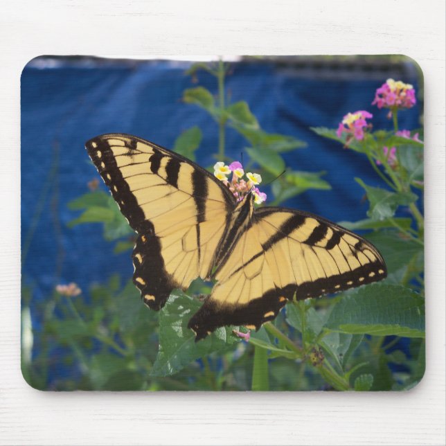 Gelb und schwarz Frack Schmetterling Mousepad (Vorne)