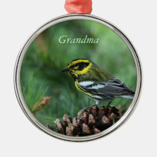 Gelb- und Schwarzlauge im Winterschmuck Ornament Aus Metall