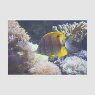 Gelb/Weiß Salzwasser Copperband Butterflyfish Seidenpapier