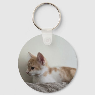 Gelb-weiße Katze Schlüsselanhänger