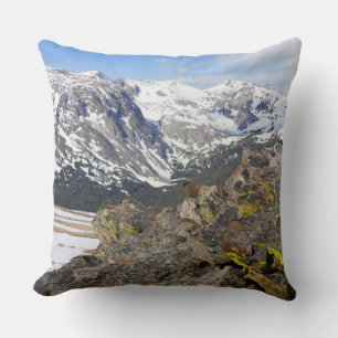 Gelbbaudiges Murmeltier beim Blick auf die Rocky M Kissen