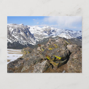 Gelbbaudiges Murmeltier beim Blick auf die Rocky M Postkarte