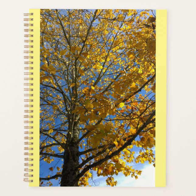 Gelbbaum Planer (Vorderseite)
