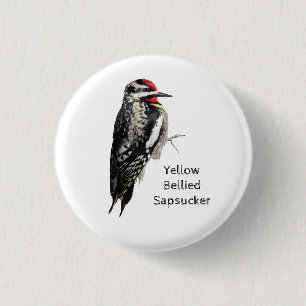 Gelbbbändiger Sapsucker Button