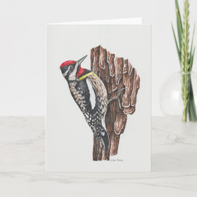 Gelbbbauchige Sapsucker Art Card Dankeskarte (Vorderseite)