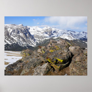 Gelbbbellische Marmot-Gazing in den Rocky Mountain Poster