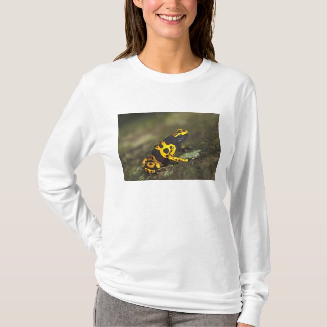 Gelbbinde Gift Dart Frog Dendrobates T-Shirt (Vorderseite)