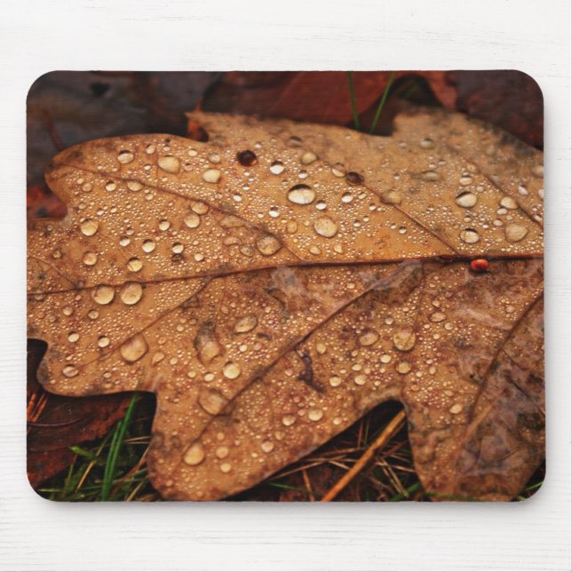 Gelbblattmaus Mousepad (Vorne)