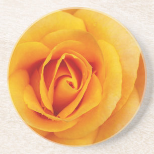 Gelbblüte Getränkeuntersetzer