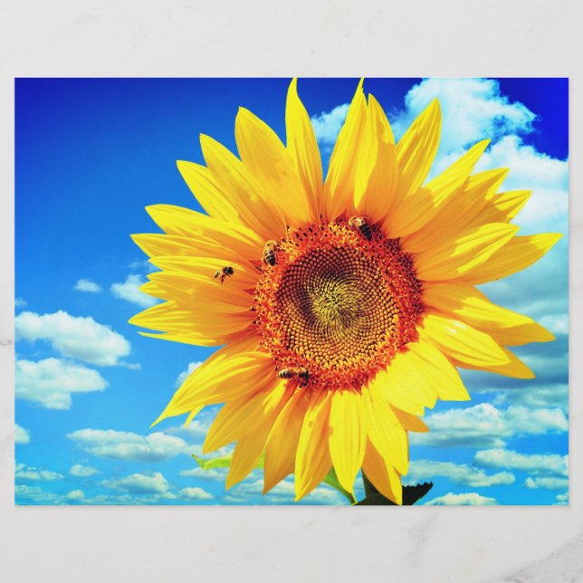 Gelbblütenblume Flyer (Vorne)