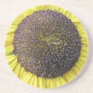 Gelbblütenblütenblume Untersetzer