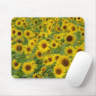 Gelbblütenfeld Mousepad