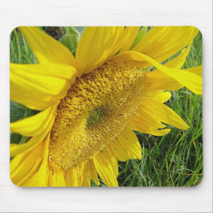 Gelbblütenmousepad Mousepad