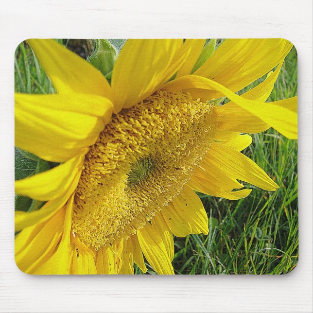 Gelbblütenmousepad Mousepad (Vorne)