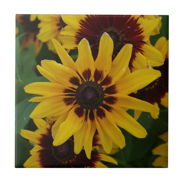 Gelbbraun-Blume Fliese (Vorderseite)