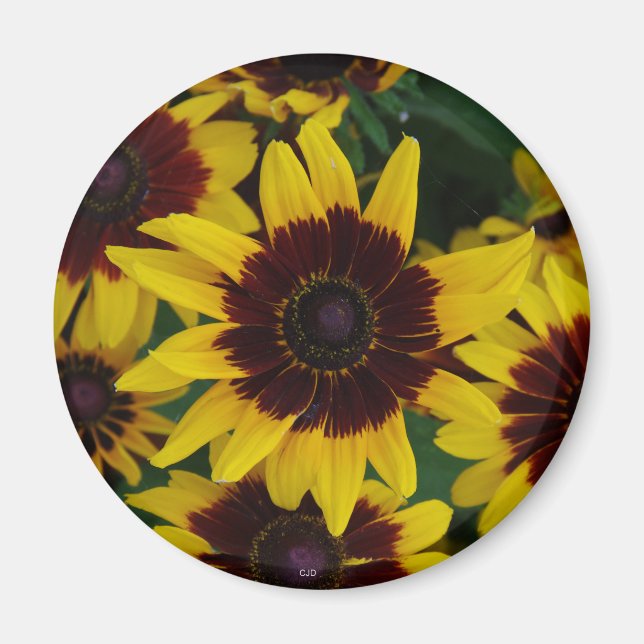 Gelbbraun-Blume-Magnet Magnet (Vorne)