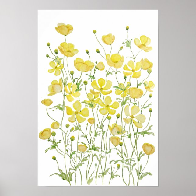 Gelbbutterbecher Blume Aquarell Poster (Vorne)