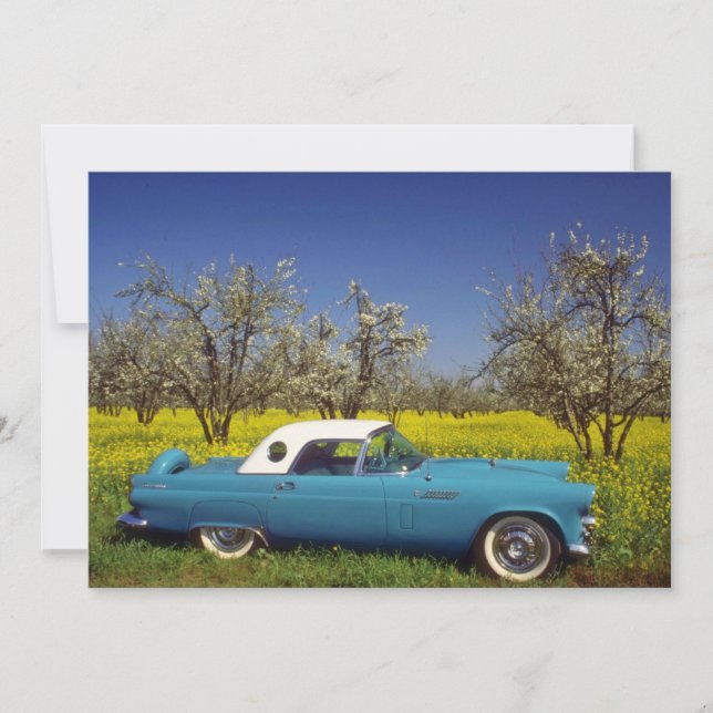 Gelbe 57 T-Bird-Blume (Vorderseite)