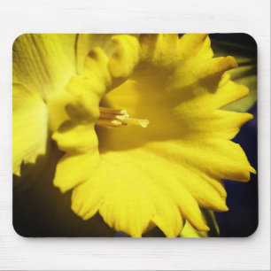 Gelbe affodische Blume Mousepad