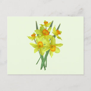 Gelbe affodische Blume Postkarte