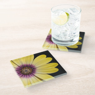 Gelbe Afrikanische Margerite auf schwarzem Blumenm Glasuntersetzer