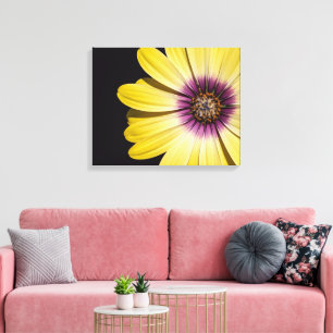 Gelbe afrikanische Margerite auf schwarzem Blumenm Leinwanddruck