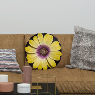 Gelbe afrikanische Margerite auf schwarzem Blumenm Rundes Kissen