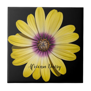 Gelbe Afrikanische Margeriten-Blumen Fliese
