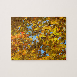 Gelbe Ahornblätter und blauer Himmel Puzzle