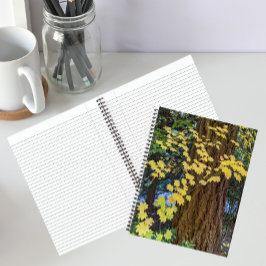Gelbe Ahornkerne Blätter und Douglas Fir Notizbuch