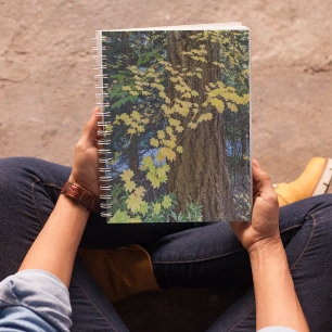 Gelbe Ahornkerne Blätter und Douglas Fir Notizbuch