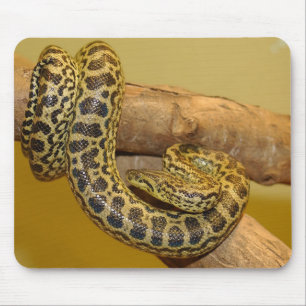 Gelbe Anaconda Mousepad