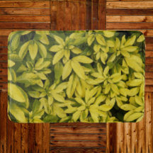 Gelbe Asiatische Lilien