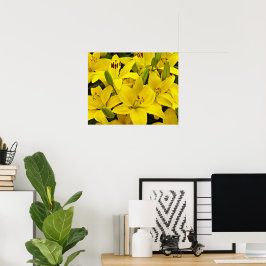 Gelbe Asiatische Lilien Blumenfotografie Poster