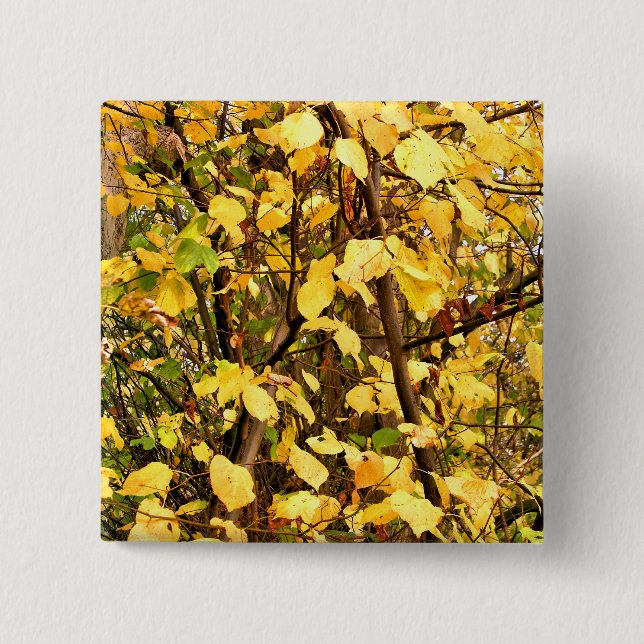 GELBE AUTUMNSTÜCKE BUTTON (Vorderseite)