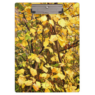 GELBE AUTUMNSTÜCKE KLEMMBRETT