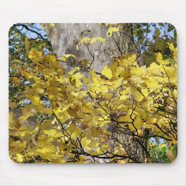 GELBE AUTUMNSTÜCKE MOUSEPAD (Vorne)