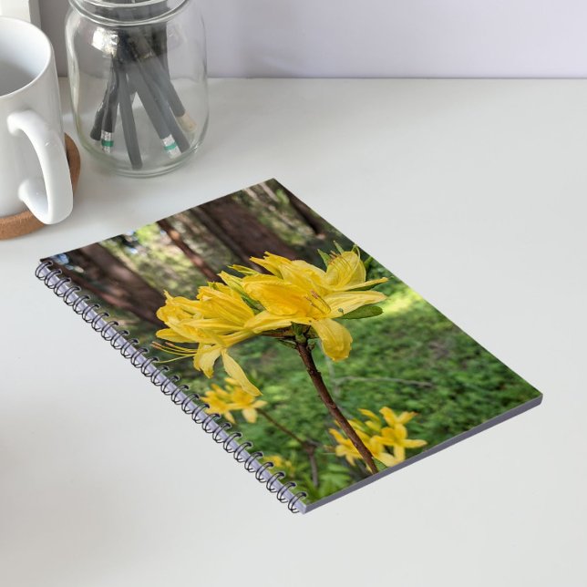 Gelbe Azalea Floral Notizblock (In Situ)