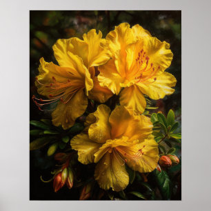 Gelbe Azaleenblüten Kunstposter Poster