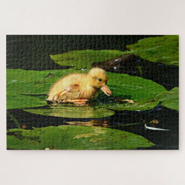 Gelbe Babyente schwimmend auf Lily Pads Puzzle (Horizontal)