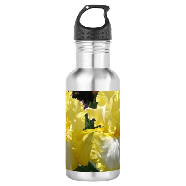 Gelbe Bartete Iris Iris Blume, blühend 710 ml W Edelstahlflasche (Vorderseite)