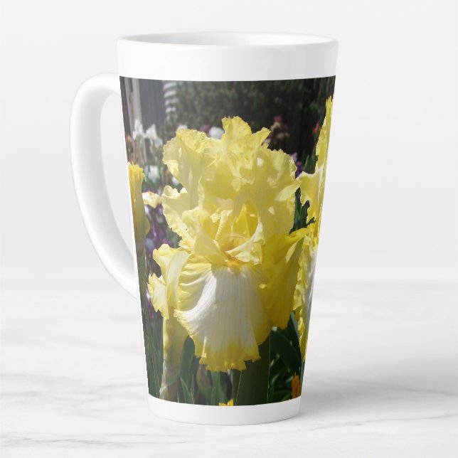 Gelbe Bartete Iris Iris Blume Milchtasse (Linke Ecke)