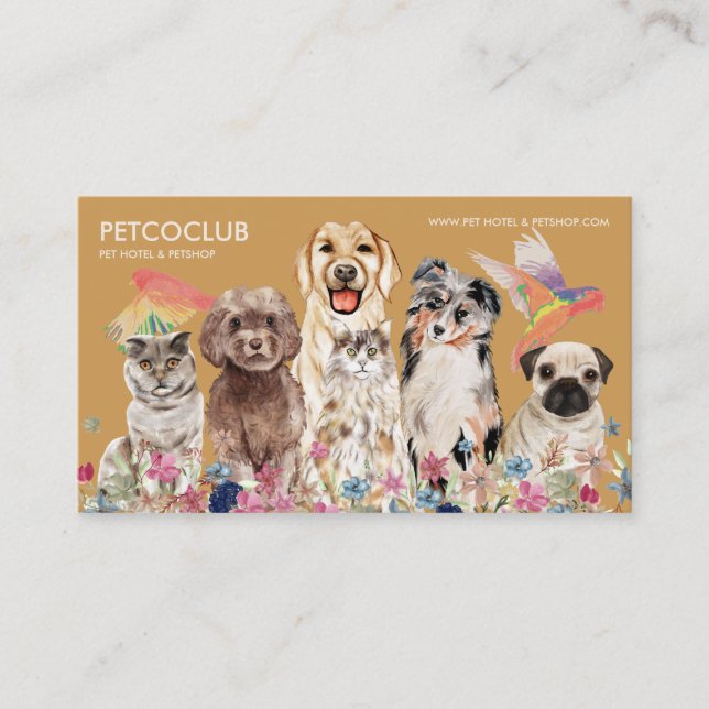 Gelbe Beige Katze Hunde Bird Tierarzt Visitenkarte (Vorderseite)