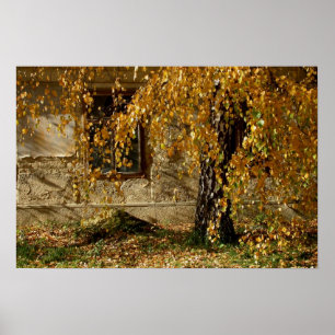 gelbe Blätter Poster