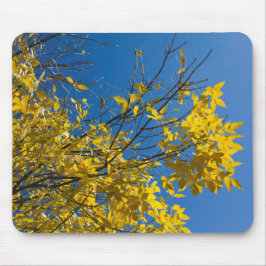 Gelbe Blätter zum Fall Ash Tree Nature Fotografy Mousepad