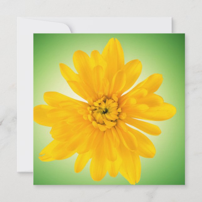 Gelbe Blume (Vorderseite)