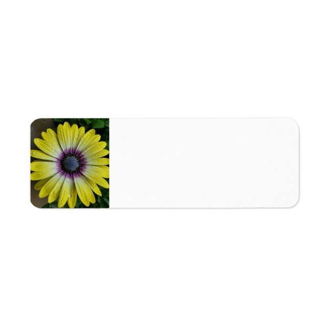 Gelbe Blume (Vorne)