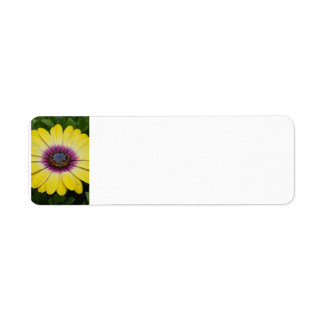 Gelbe Blume