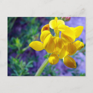 Gelbe Blume 2 Postkarte