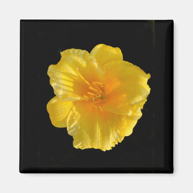 Gelbe Blume 2 Zoll Square Magnet (Vorne)
